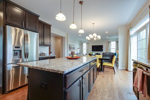 Tiny photo for 20463 N Joshua Court, Deer Park, IL 60010 (MLS # 12631768)
