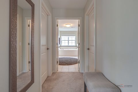 Tiny photo for 20463 N Joshua Court, Deer Park, IL 60010 (MLS # 12631768)