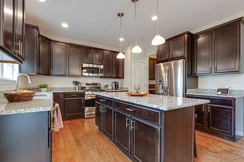 Tiny photo for 20463 N Joshua Court, Deer Park, IL 60010 (MLS # 12631768)