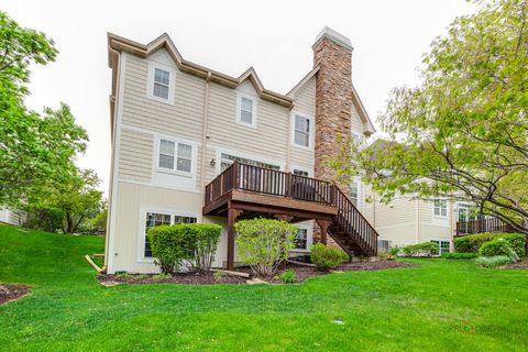 Tiny photo for 20463 N Joshua Court, Deer Park, IL 60010 (MLS # 12631768)