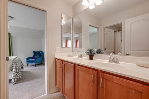 Tiny photo for 20463 N Joshua Court, Deer Park, IL 60010 (MLS # 12631768)