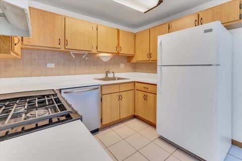 Tiny photo for 1434 Millbrook Court #1434, Schaumburg, IL 60193 (MLS # 12693876)