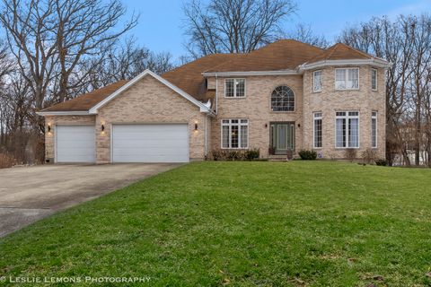 A home in Steger