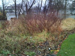 1302 Ardmore Drive