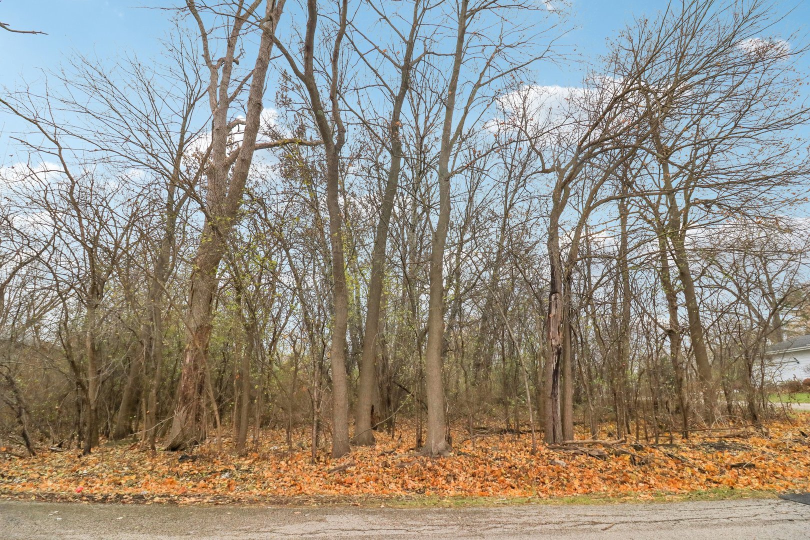 22771 Lake Park Avenue