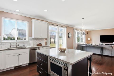 Tiny photo for 3201 Christopher Court, Johnsburg, IL 60051 (MLS # 12606931)