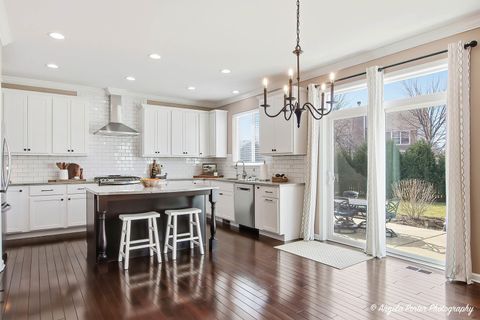 Tiny photo for 3201 Christopher Court, Johnsburg, IL 60051 (MLS # 12606931)