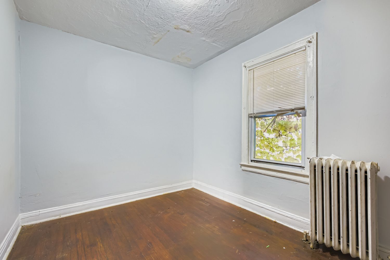 7705 S Paulina Street - Photo 4