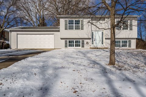 Photo of 617 E 3rd Street, Byron, IL 61010 (MLS # 12556391)