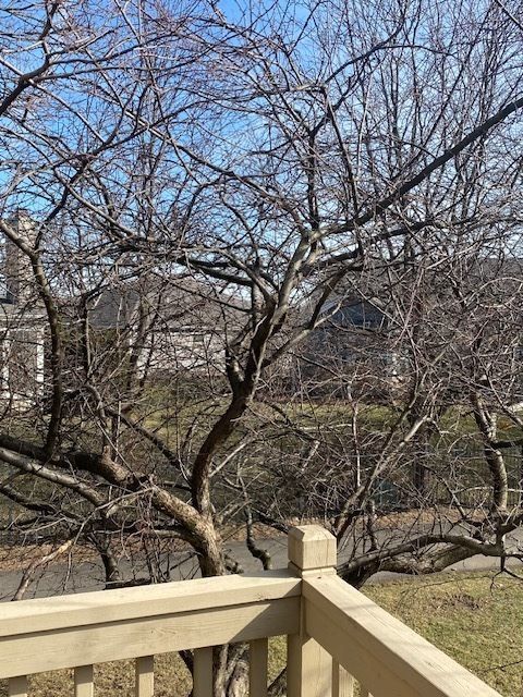 Tiny photo for 26W011 Klein Creek Drive, Winfield, IL 60190 (MLS # 12570354)