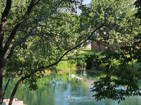 Tiny photo for 352 Kelburn Road #222, Deerfield, IL 60015 (MLS # 12761092)