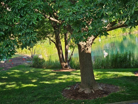 Tiny photo for 352 Kelburn Road #222, Deerfield, IL 60015 (MLS # 12761092)