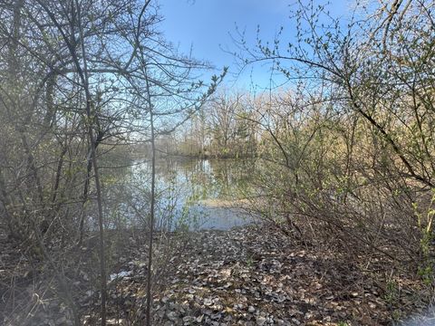 Tiny photo for 17N753 Widmayer Road, Hampshire, IL 60140 (MLS # 12468404)