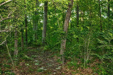 Tiny photo for 464 Carlock Road, Carlock, IL 61725 (MLS # 12676318)