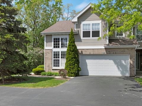920 Willow Street Itasca IL 60143