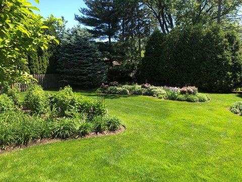 Tiny photo for 647 N Wilke Road, Arlington Heights, IL 60005 (MLS # 12741870)