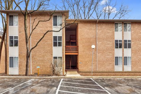 5817 Oakwood Drive Unit F, Lisle, IL 60532 - #: 12464126