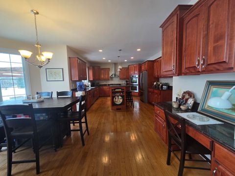 Tiny photo for Frankfort, IL 60423 (MLS # 12556471)