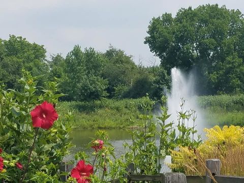 Tiny photo for Frankfort, IL 60423 (MLS # 12556471)