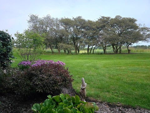 Tiny photo for 21896 W Vernon Ridge Drive, Ivanhoe, IL 60060 (MLS # 12765595)