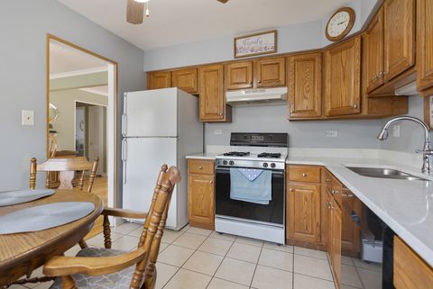 Tiny photo for 243 N Richards Drive, Palatine, IL 60074 (MLS # 12529298)