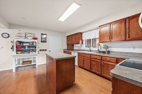 Tiny photo for 85 Carriage Drive, Morris, IL 60450 (MLS # 12566322)