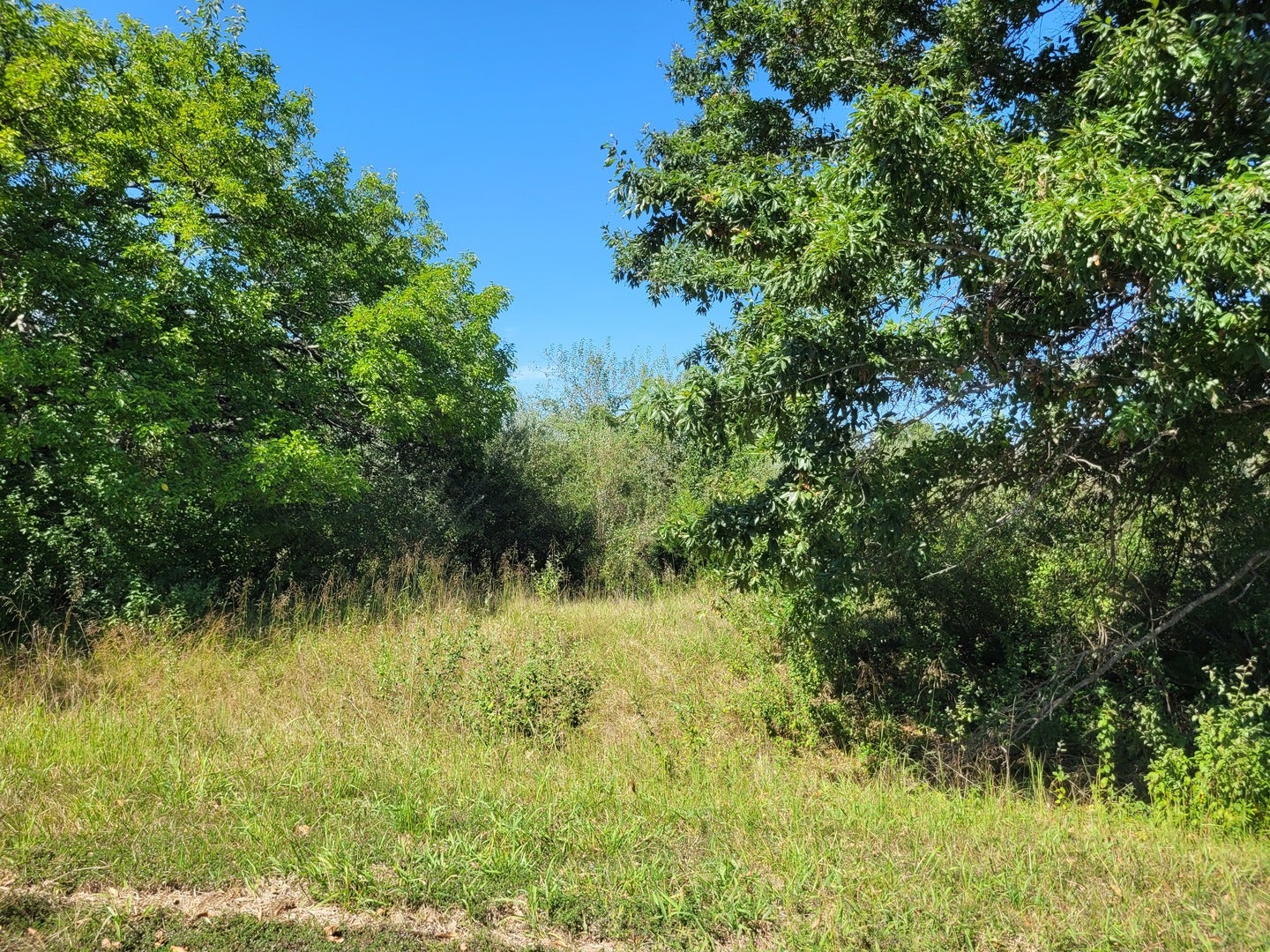 0000 E Bunny Farm Road