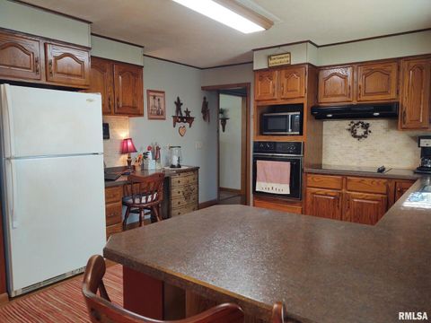 Tiny photo for 901 LOCUST Street, Vienna, IL 62995 (MLS # EB460207)