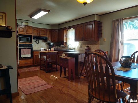 Tiny photo for 901 LOCUST Street, Vienna, IL 62995 (MLS # EB460207)