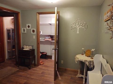 Tiny photo for 901 LOCUST Street, Vienna, IL 62995 (MLS # EB460207)