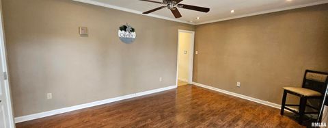 Tiny photo for 93 SEMINOLE Street, Mcclure, IL 62957 (MLS # EB454831)