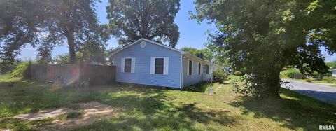 Tiny photo for 93 SEMINOLE Street, Mcclure, IL 62957 (MLS # EB454831)