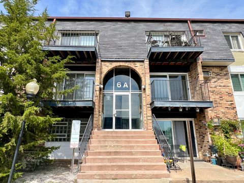 Photo of 6A DUNDEE QUARTER Drive #207, Palatine, IL 60074 (MLS # 12471132)