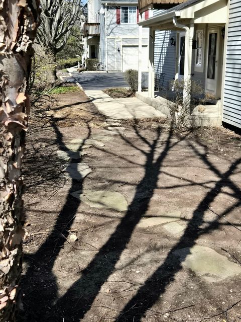 Tiny photo for 308 Windsor Court #C, South Elgin, IL 60177 (MLS # 12580013)