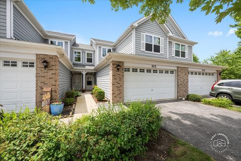 Photo of 422 Acushnet Street #0, Elgin, IL 60124 (MLS # 12696689)
