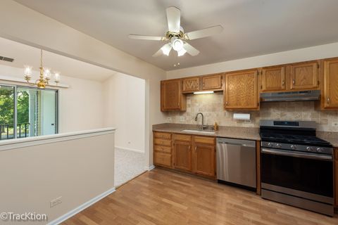 Tiny photo for 802 BUTTERNUT Lane #D, Mount Prospect, IL 60056 (MLS # 12495783)