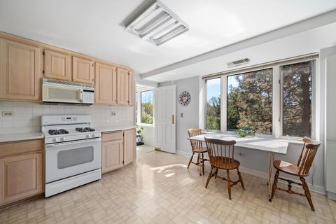 Tiny photo for 601 Mulberry Place #3B, Highland Park, IL 60035 (MLS # 12626015)