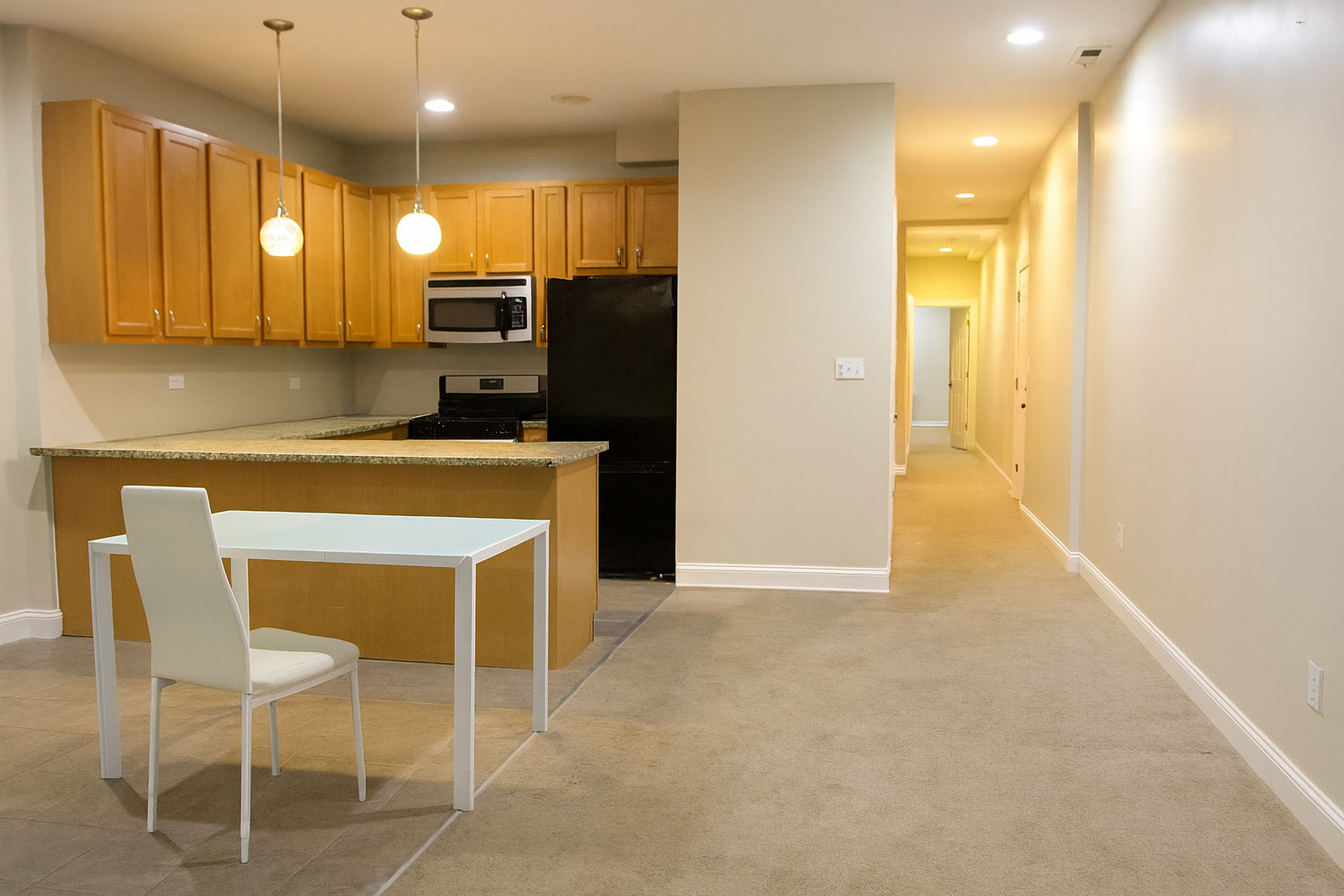 5408 S Michigan Avenue 1S