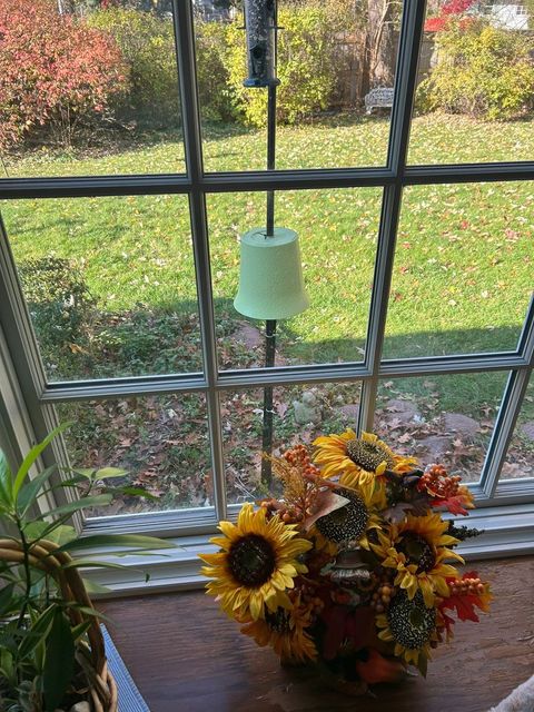 Tiny photo for 1229 Suffolk Street, Naperville, IL 60563 (MLS # 12530143)