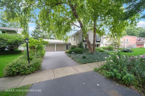 Tiny photo for 141 N Lancaster Drive, Bolingbrook, IL 60440 (MLS # 12453890)