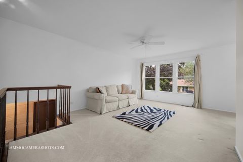 Tiny photo for 141 N Lancaster Drive, Bolingbrook, IL 60440 (MLS # 12453890)