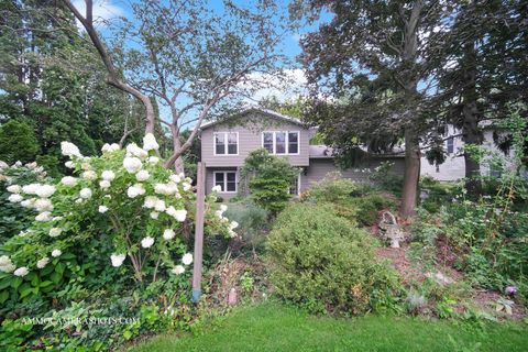 Tiny photo for 141 N Lancaster Drive, Bolingbrook, IL 60440 (MLS # 12453890)
