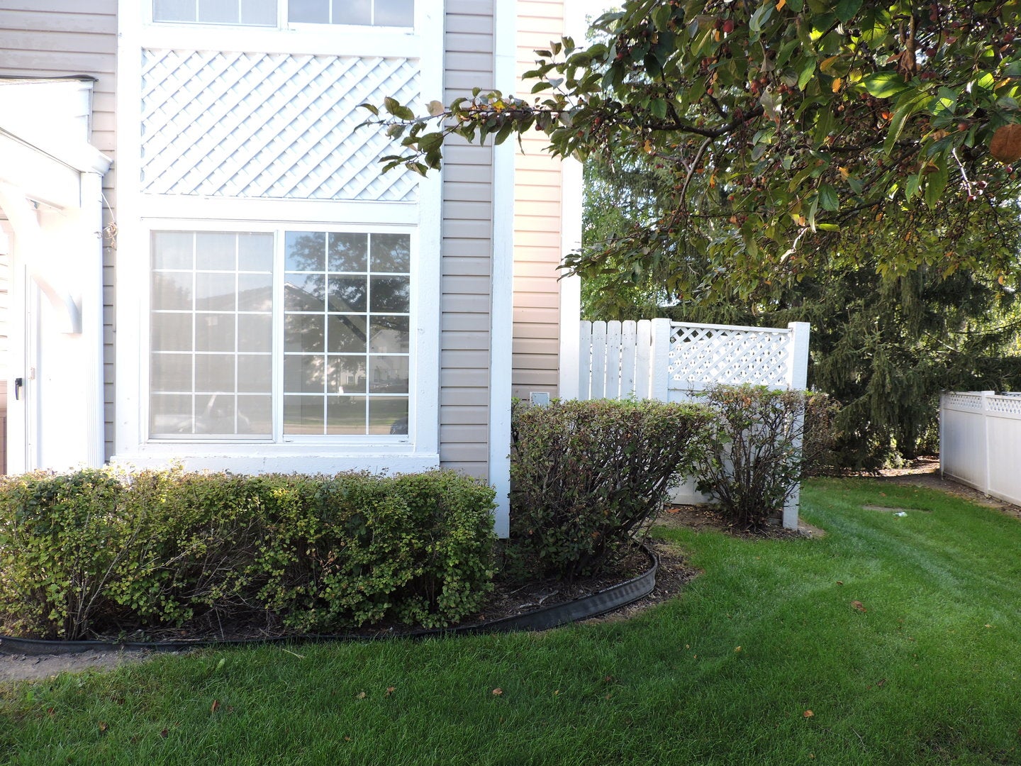 343 Gregory Street