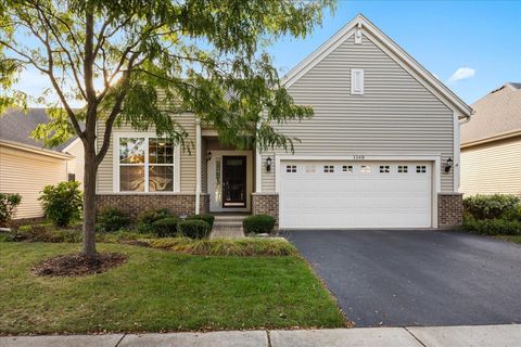 Photo of 1148 Drury Lane, Aurora, IL 60502 (MLS # 12486127)