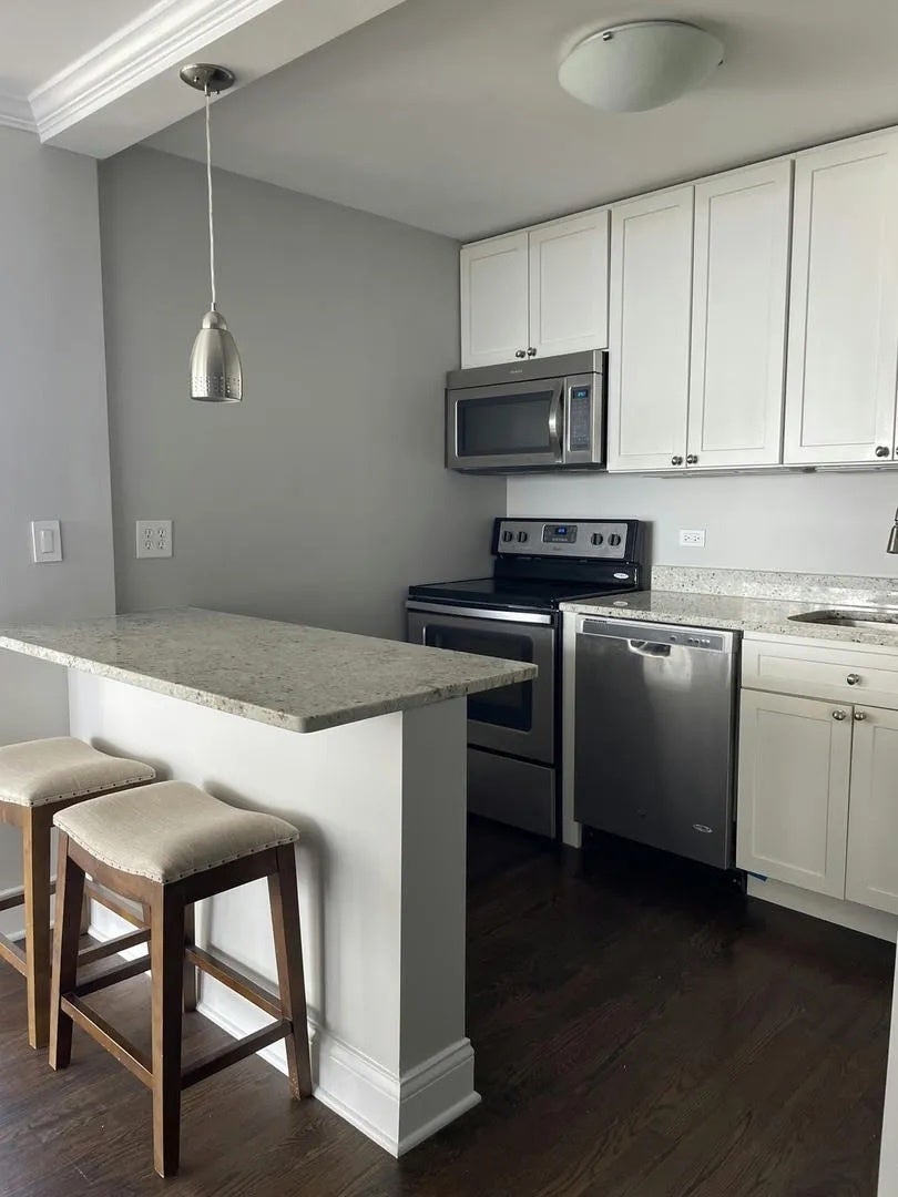 1455 N Sandburg Terrace 1609