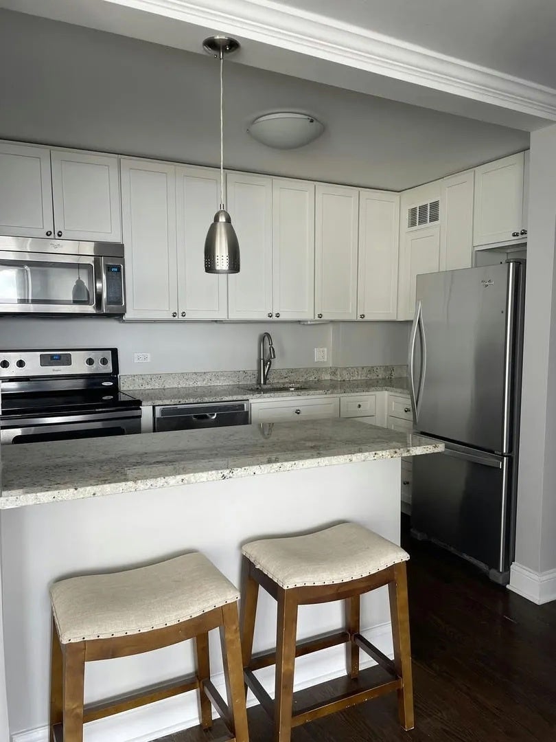 1455 N Sandburg Terrace 1609