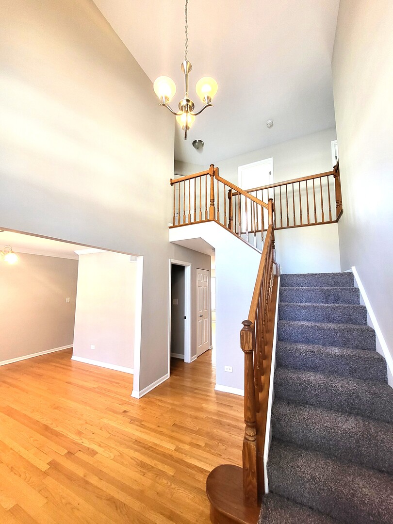 541 Meadowview Drive