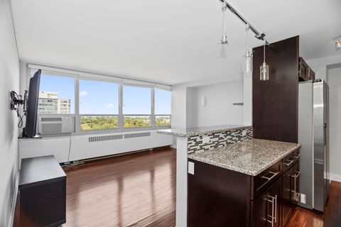 Tiny photo for Chicago, IL 60613 (MLS # 12556119)