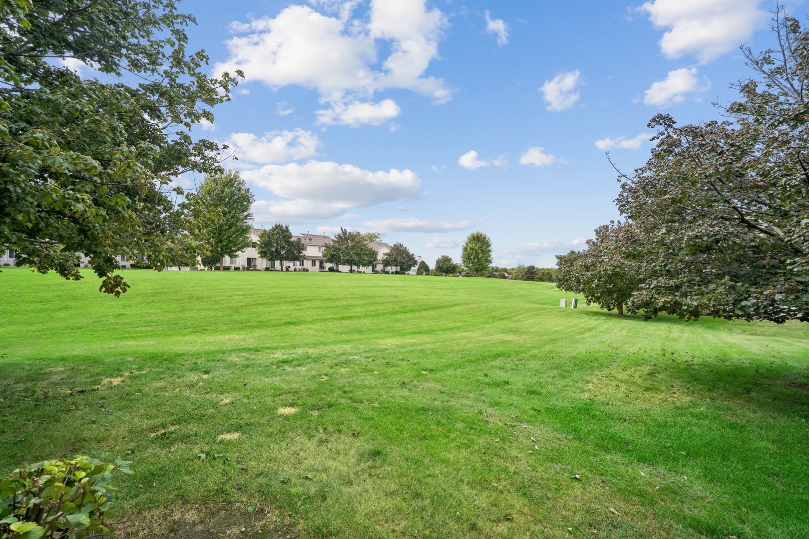 1446 Meadowsedge Lane