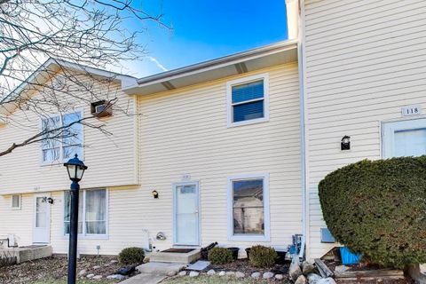 Photo of 116 Raintree Court, Aurora, IL 60504 (MLS # 12571581)